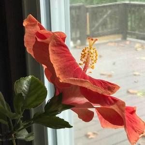 Meet your Posher, Sally